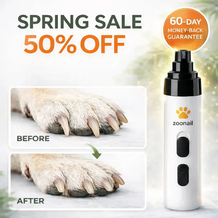 Stress-Free Grooming, Happy Paws